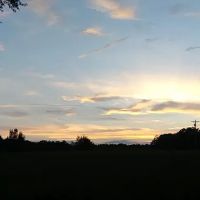 Ridgecrest MHP, LLC. ico