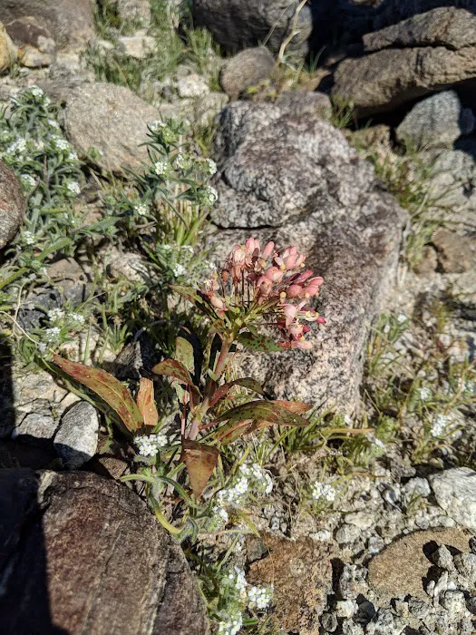 Truckhaven Rocks Campground Picture 8