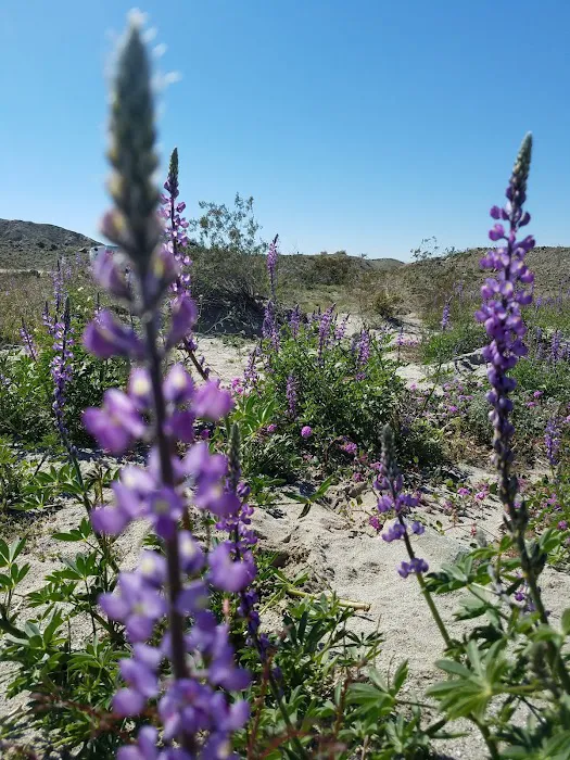 Truckhaven Rocks Campground Picture 7