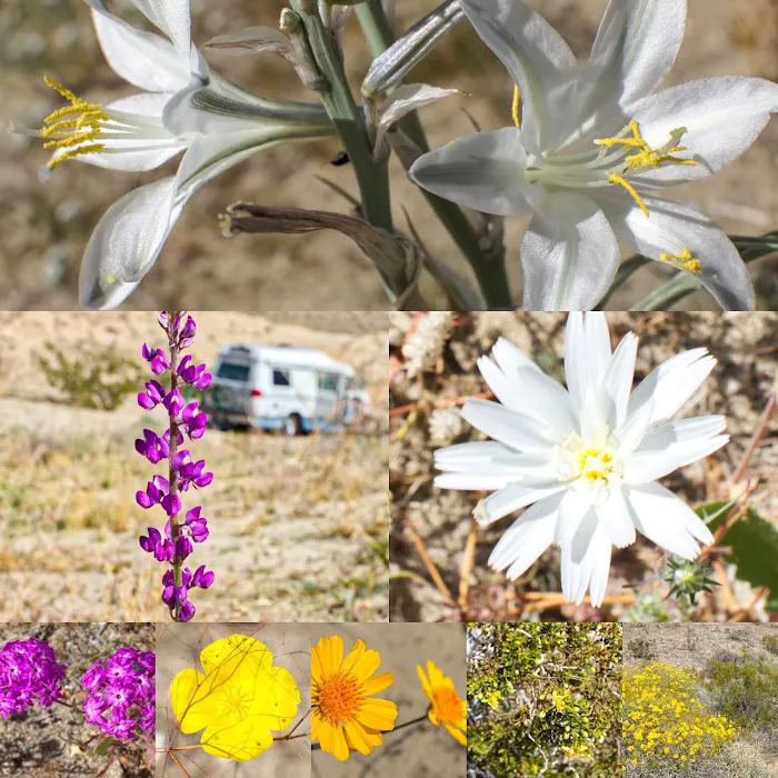 Truckhaven Rocks Campground Picture 10