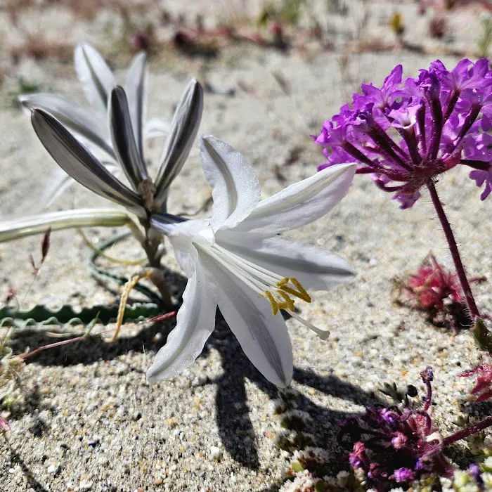 Truckhaven Rocks Campground Picture 5