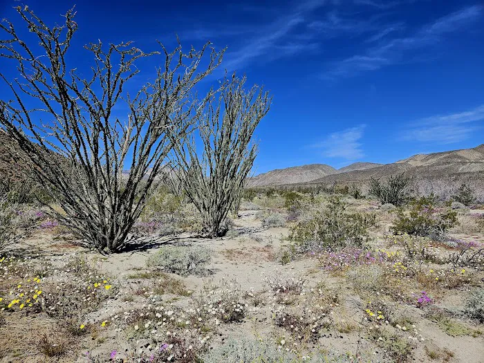 Truckhaven Rocks Campground Picture 3