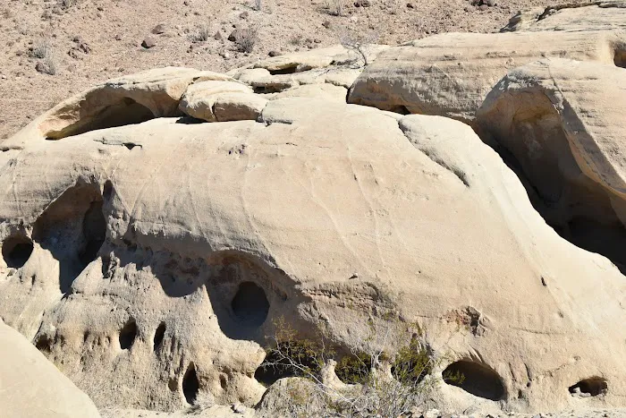 Fish Creek Primitive Campground Picture 10