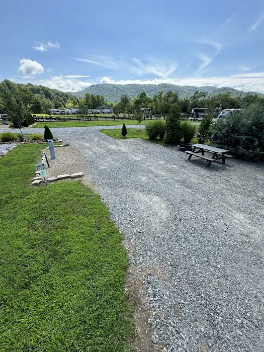 Pisgah Forest RV Park and Campground Picture 8