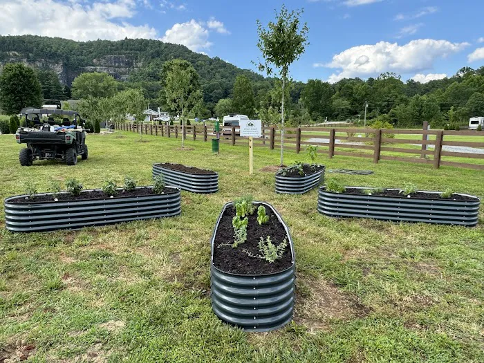 Pisgah Forest RV Park and Campground Picture 1