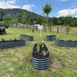 Pisgah Forest RV Park and Campground