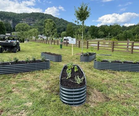 Pisgah Forest RV Park and Campground