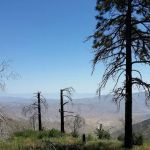 Sierra Club Guyman Lodge Organization Site (recgovnpsdata)