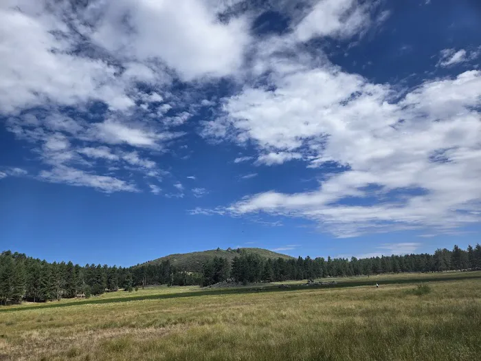 Horse Heaven Group Campground Picture 10