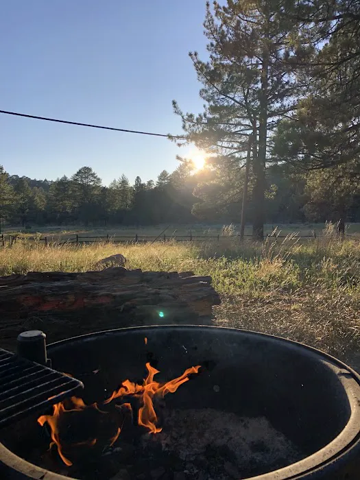 Horse Heaven Group Campground Picture 4