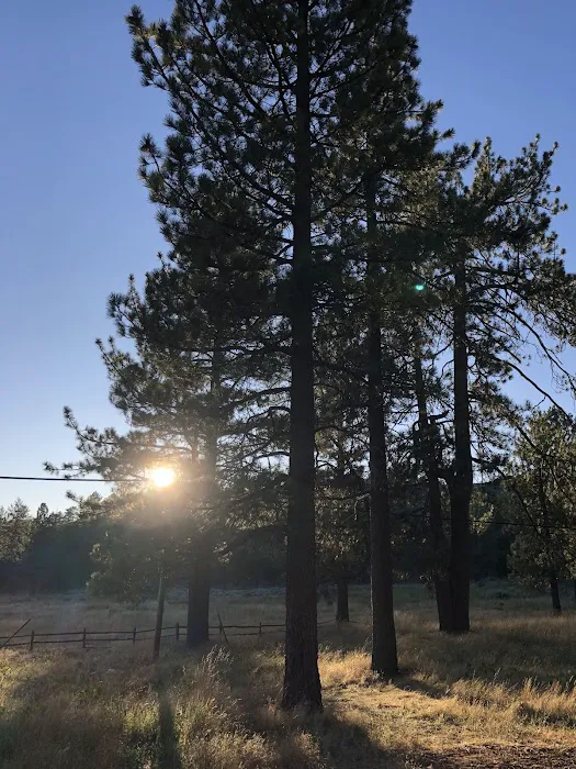 Horse Heaven Group Campground Picture 5