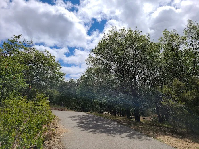 Burnt Rancheria Campground Picture 7