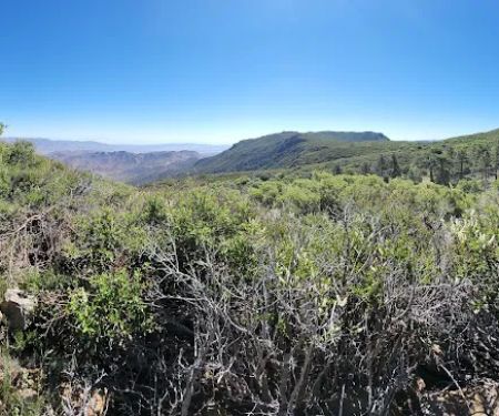 Burnt Rancheria Campground