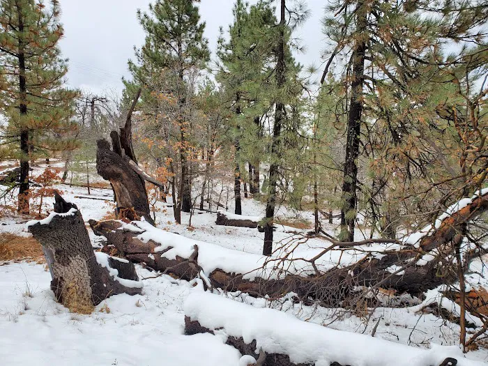 Burnt Rancheria Campground Picture 10