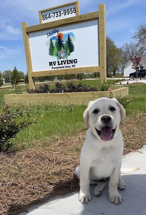 Shibby RV Living Picture 8