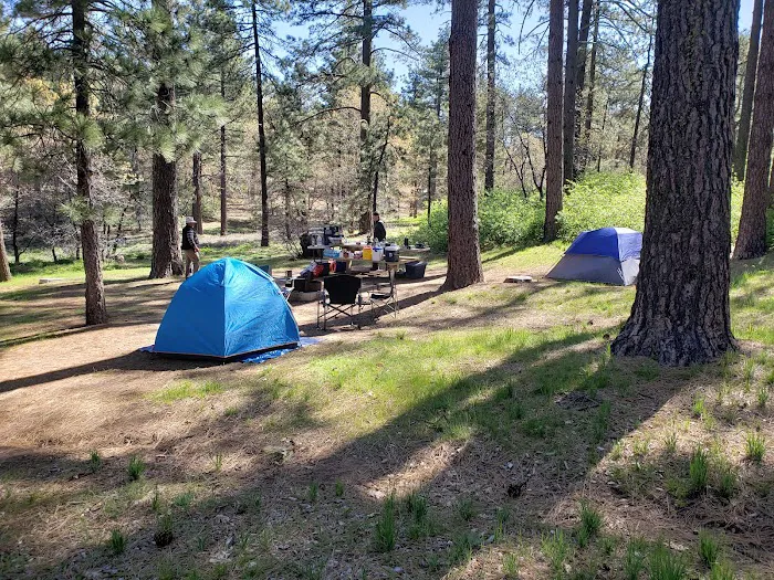 Burnt Rancheria Campground Picture 3