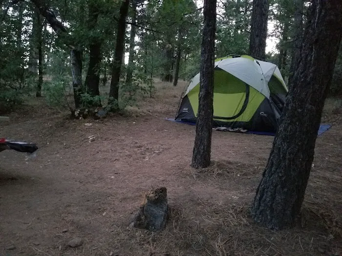 Burnt Rancheria Campground Picture 1