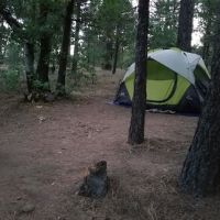 Burnt Rancheria Campground ico