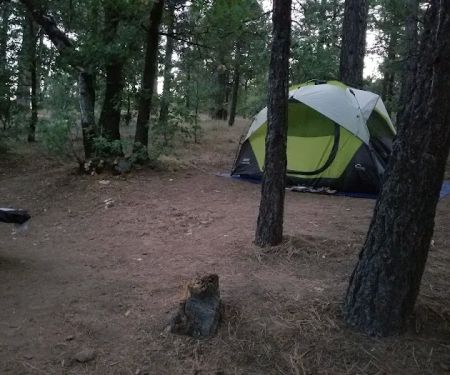 Burnt Rancheria Campground