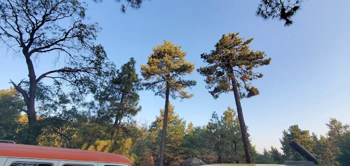 Wooded Hill Group Campground Picture 2