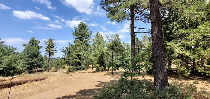 Wooded Hill Group Campground Picture 4