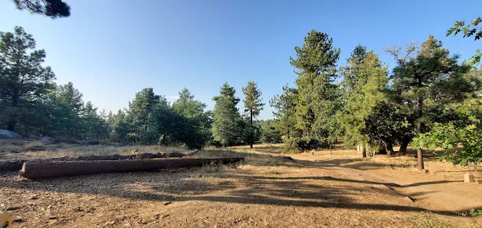 Wooded Hill Group Campground Picture 9