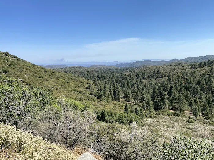 Wooded Hill Group Campground Picture 8