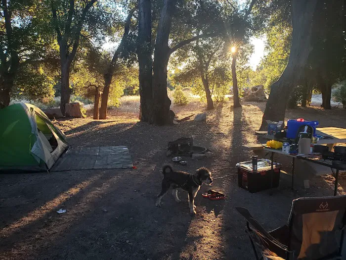 Cottonwood Campground Picture 8