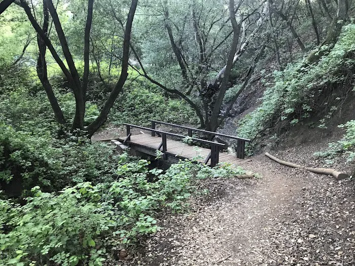 Cerro Alto Campground Picture 7