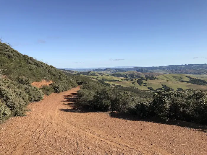 Cerro Alto Campground Picture 2