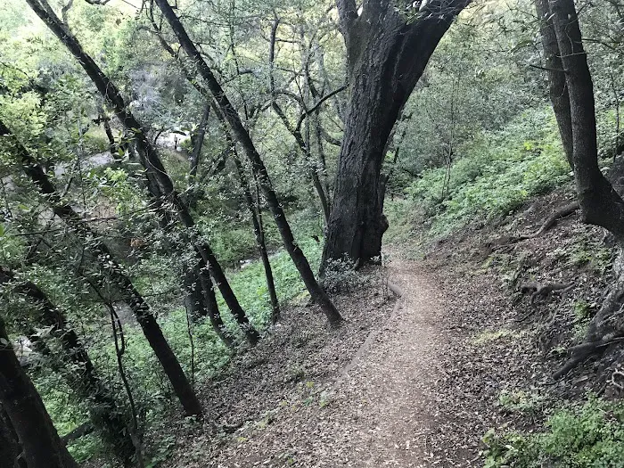 Cerro Alto Campground Picture 6