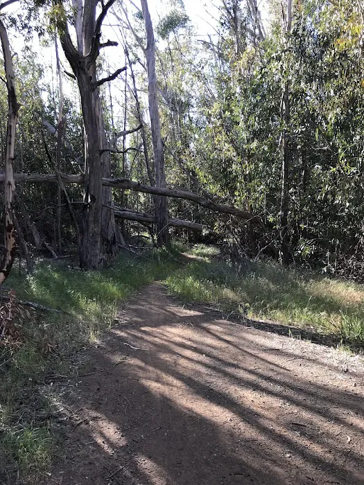 Cerro Alto Campground Picture 5