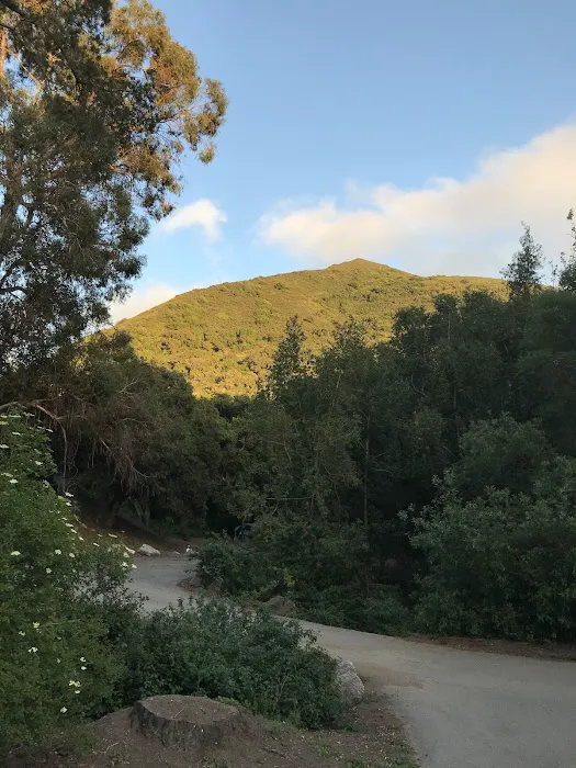 Cerro Alto Campground Picture 8