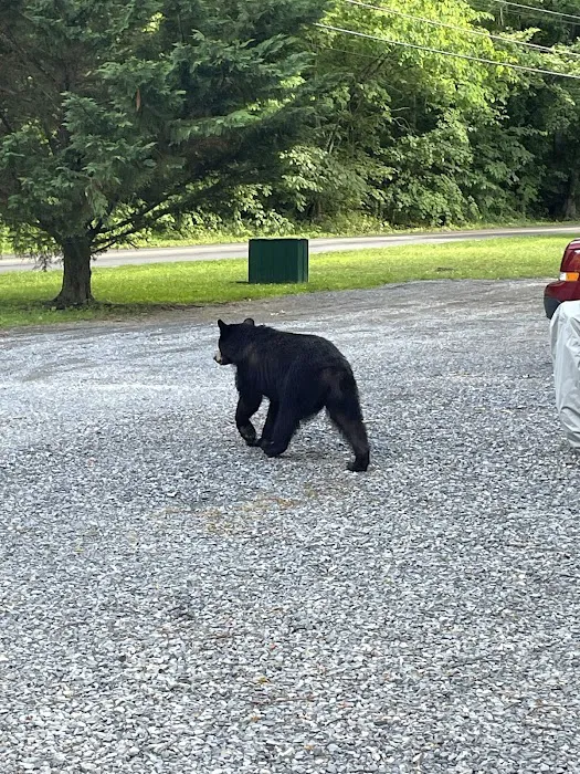 Carson Springs RV Campground Picture 10