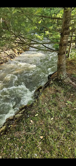 Carson Springs RV Campground Picture 4