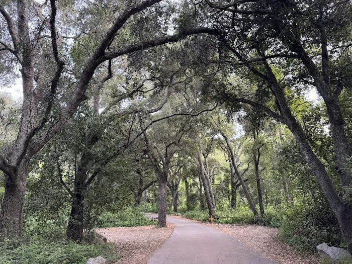 Cerro Alto Campground Picture 7