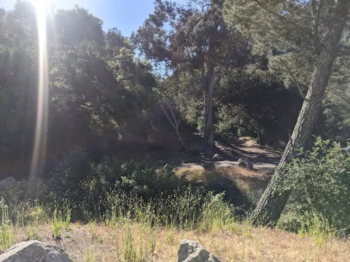 Cerro Alto Campground Picture 1