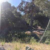 Cerro Alto Campground ico