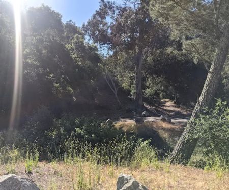 Cerro Alto Campground