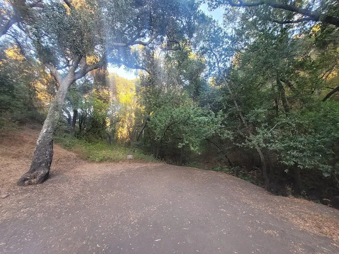 Cerro Alto Campground Picture 9