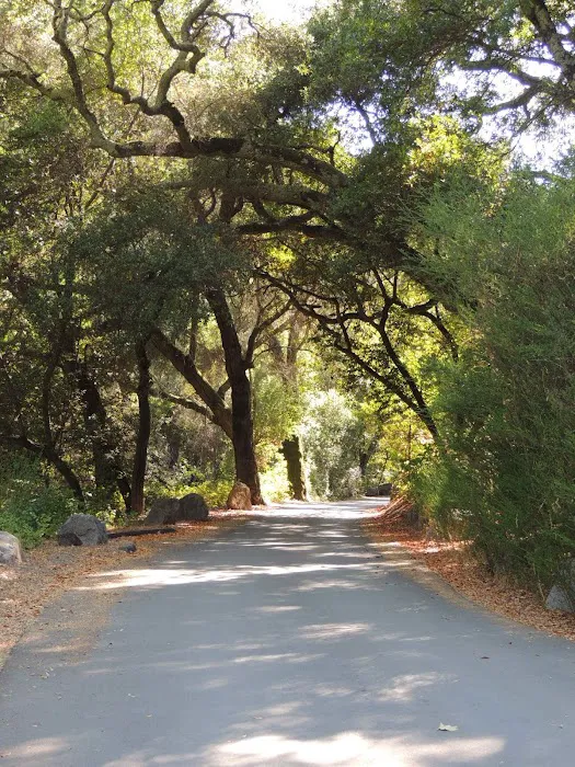 Cerro Alto Campground Picture 6