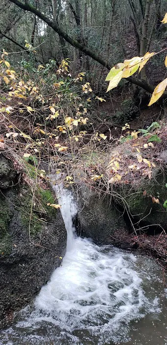 Cerro Alto Campground Picture 8