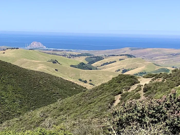 Cerro Alto Campground Picture 4