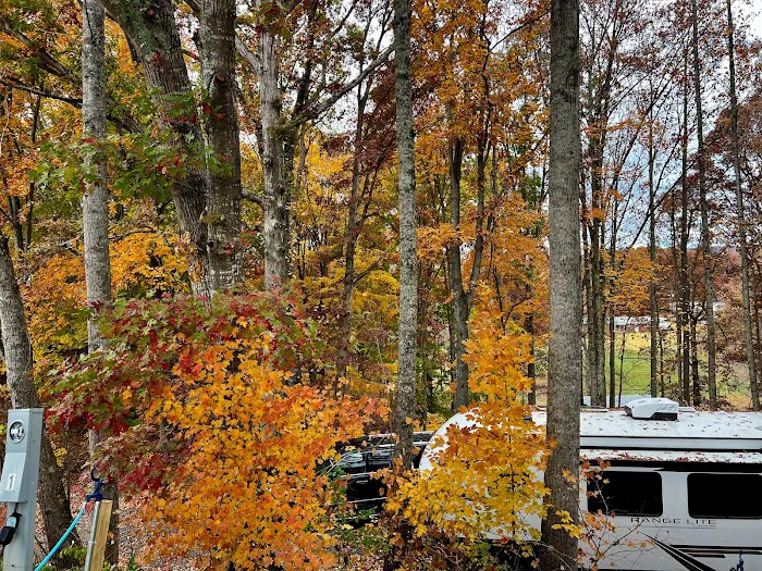 Mountain Ranch RV Park Picture 4