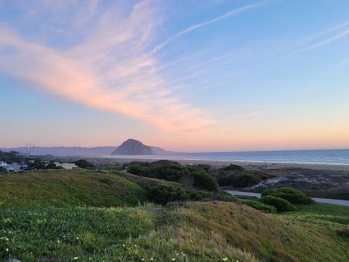 Morro Strand State Beach Campground Picture 4