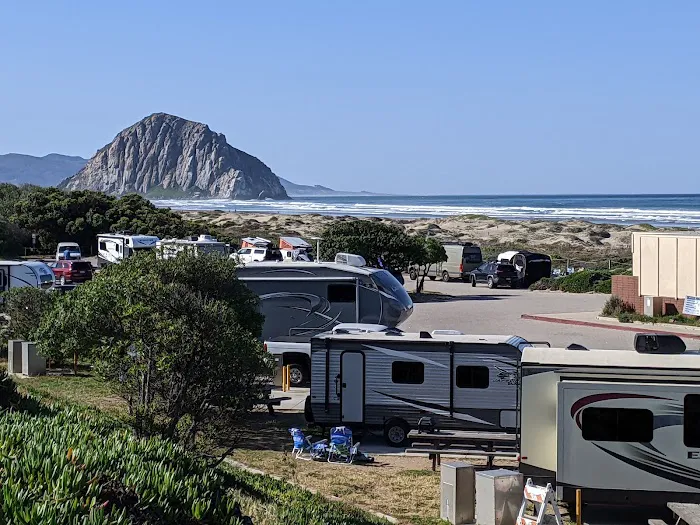 Morro Strand State Beach Campground Picture 1