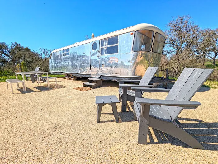 Vinyl Vineyards Picture 4