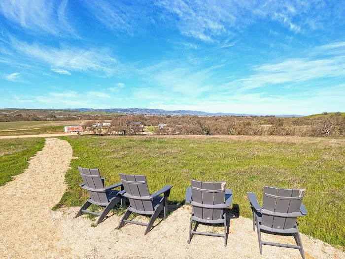 Vinyl Vineyards Picture 3