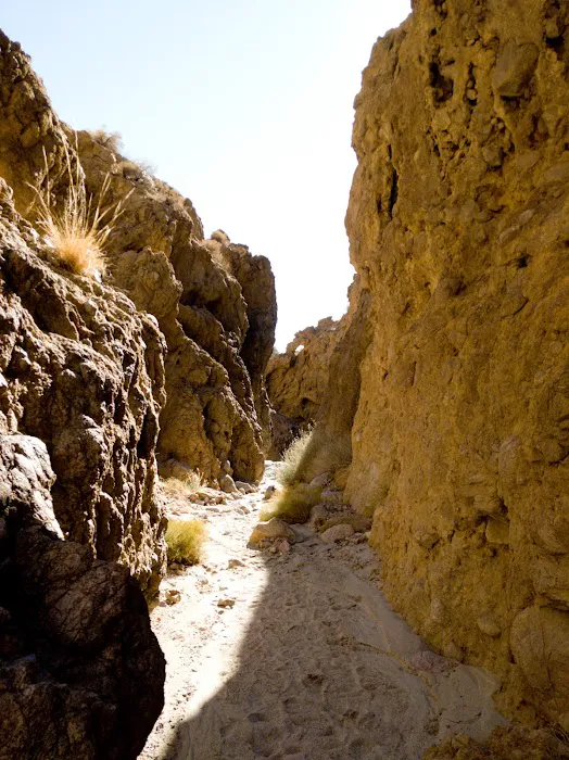 Owl Canyon Campground Picture 3