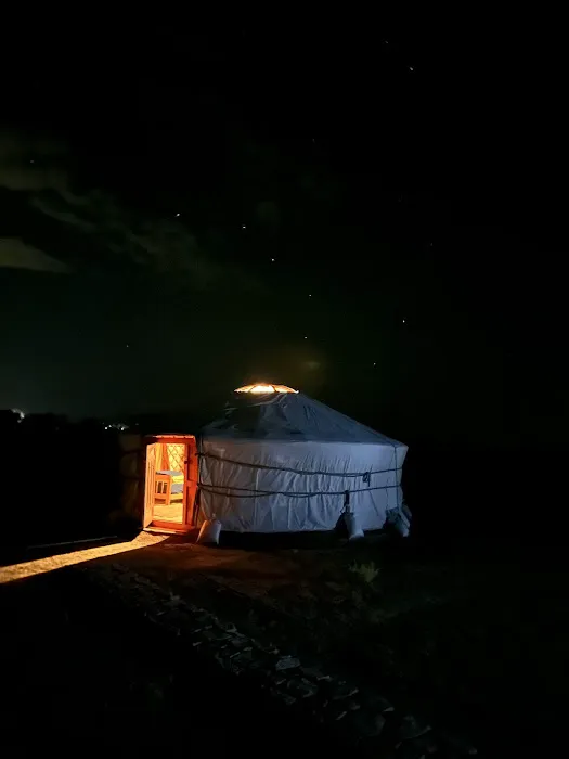 Mongolian camp Picture 8